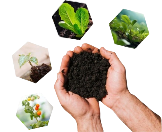 Vermicompost Manufacturer